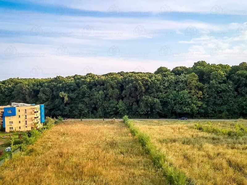 Sector 1, cartier Greenfield